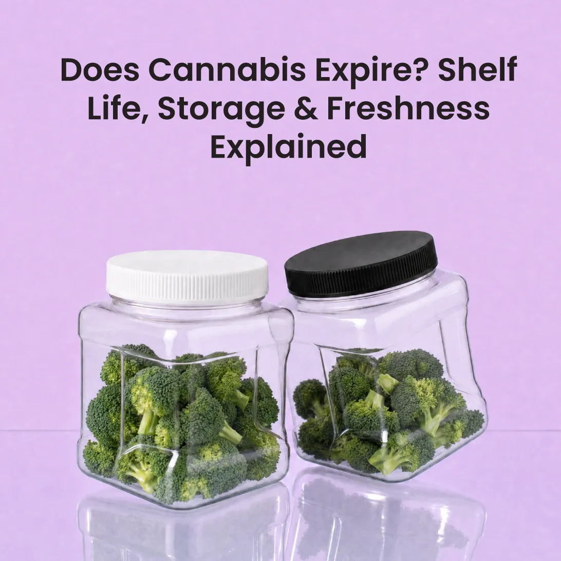 Does Cannabis Expire? Shelf Life, Storage &amp; Freshness Explained