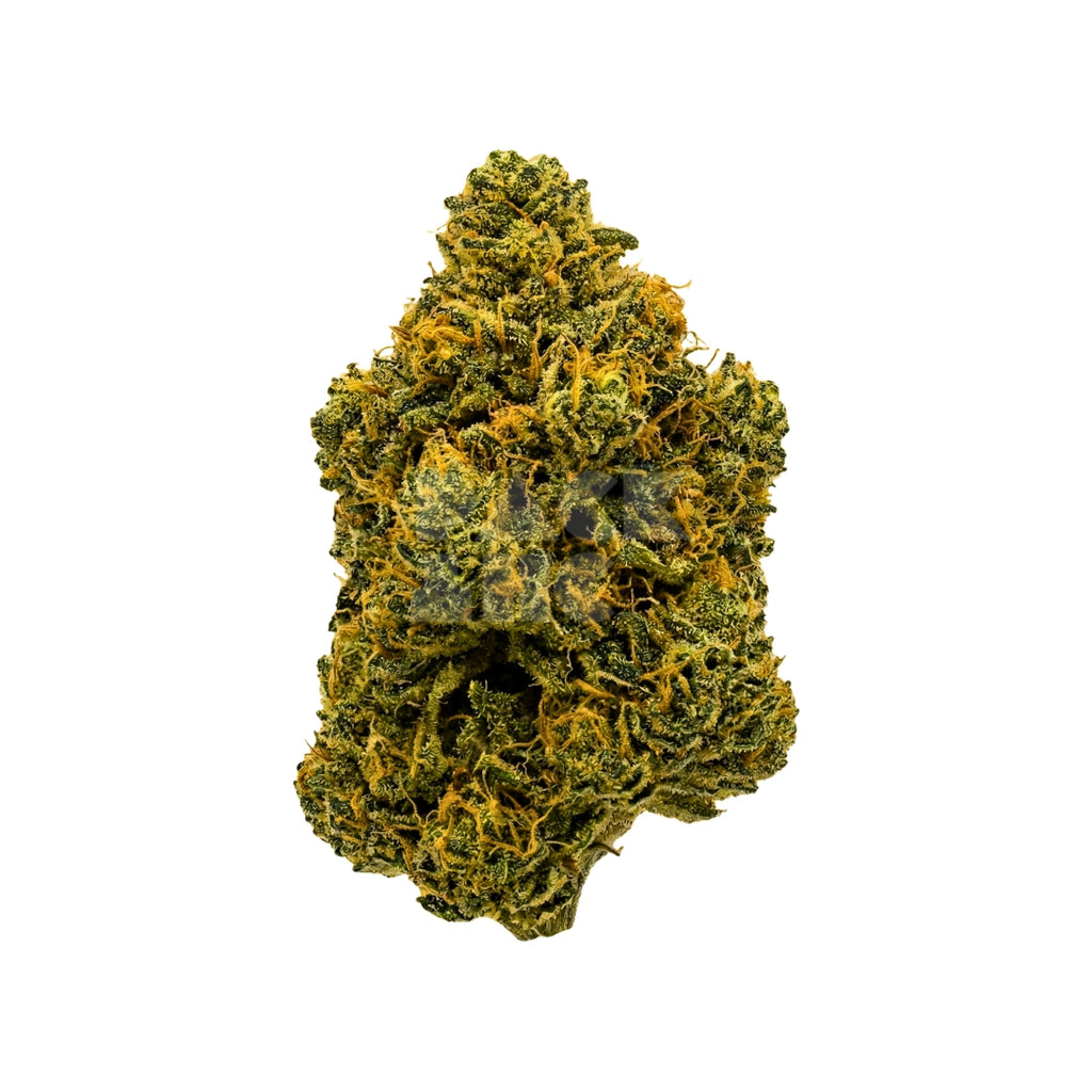 Bud showcase 4