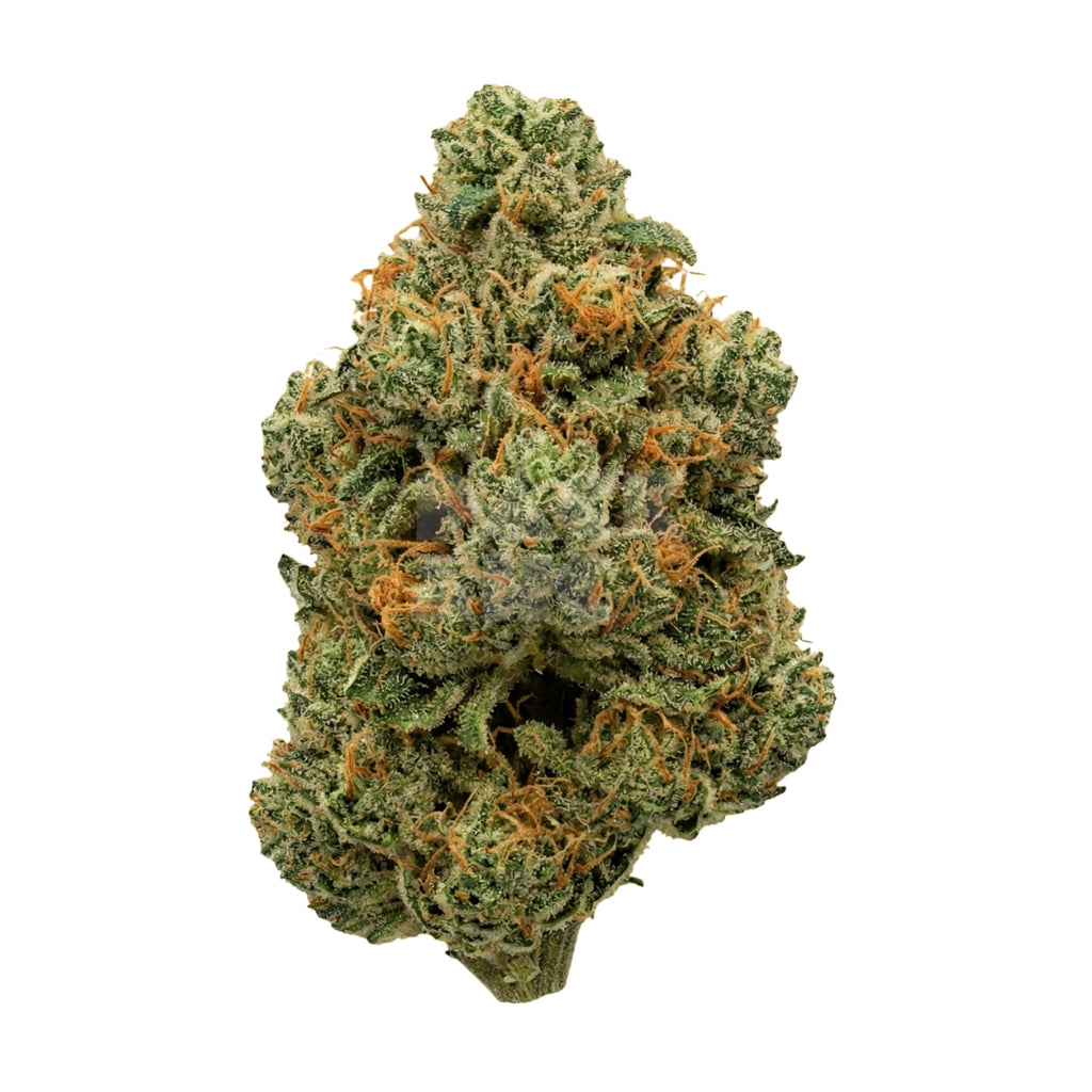 Bud showcase 2