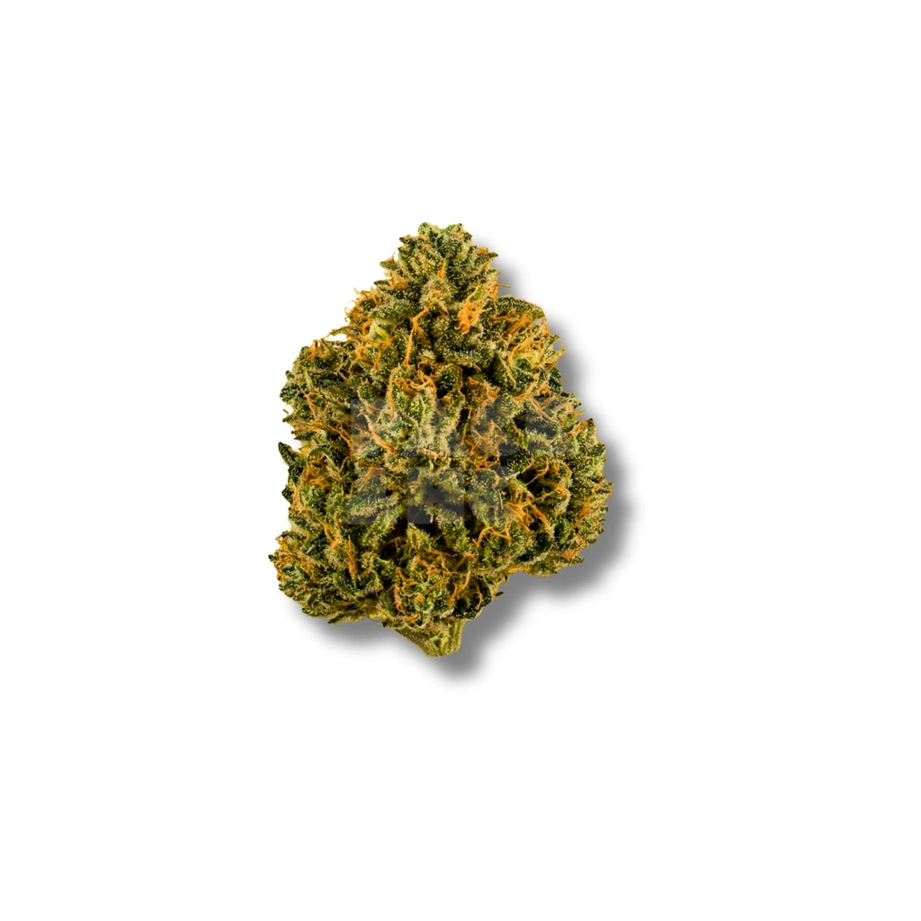 Bud showcase 3