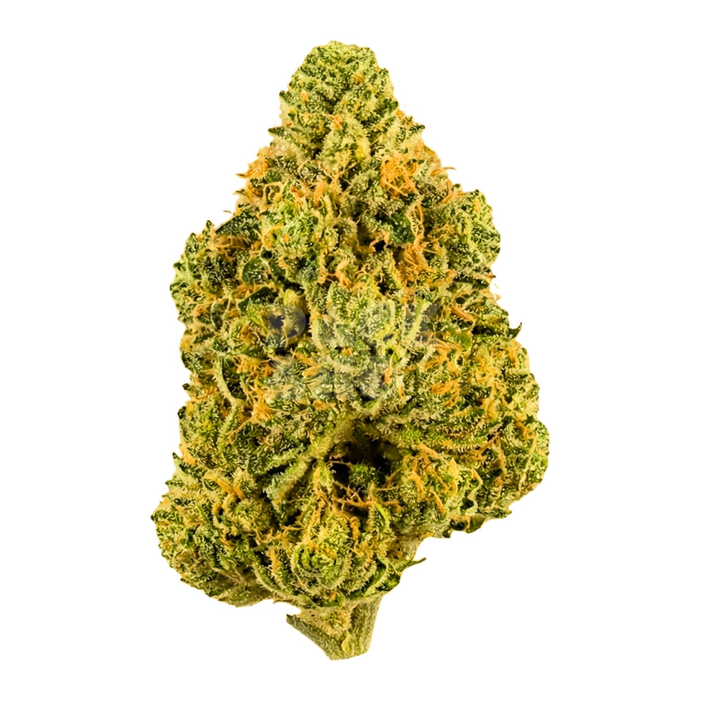 Bud showcase 2
