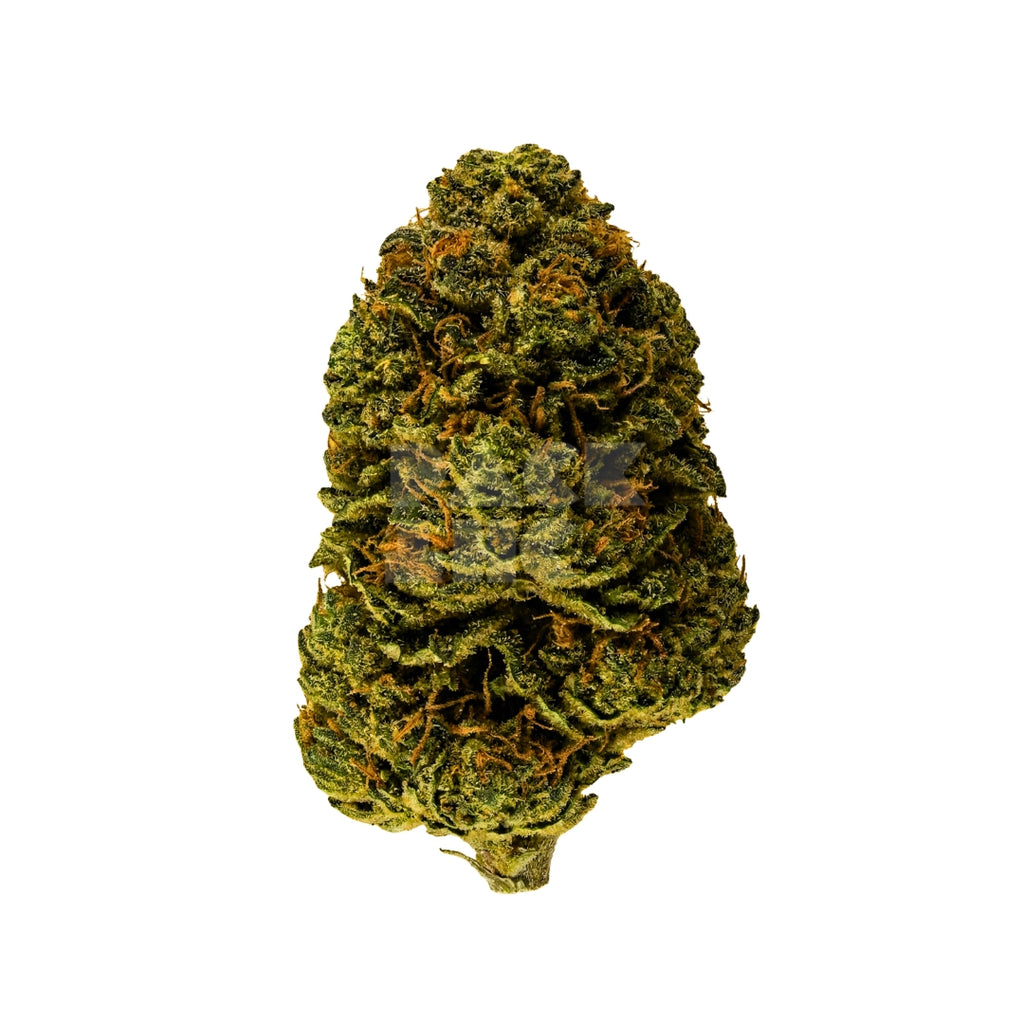 Bud showcase 2