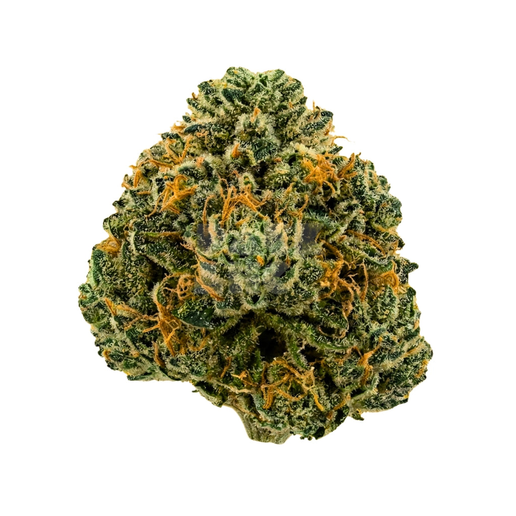 Bud showcase 2