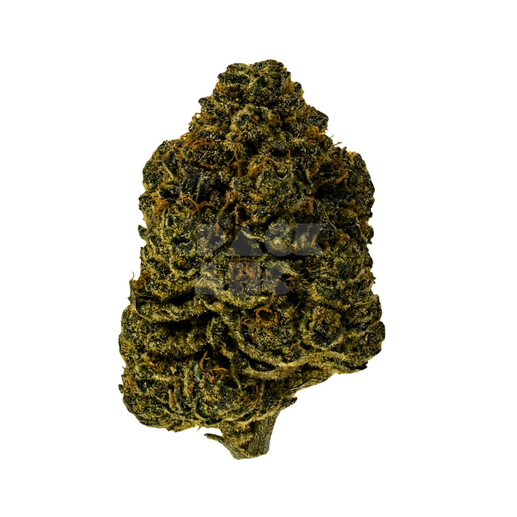 Bud showcase 1
