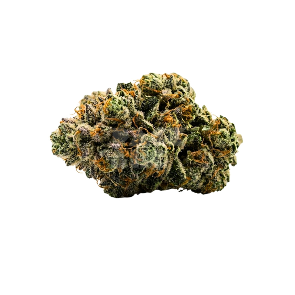 Bud showcase 2