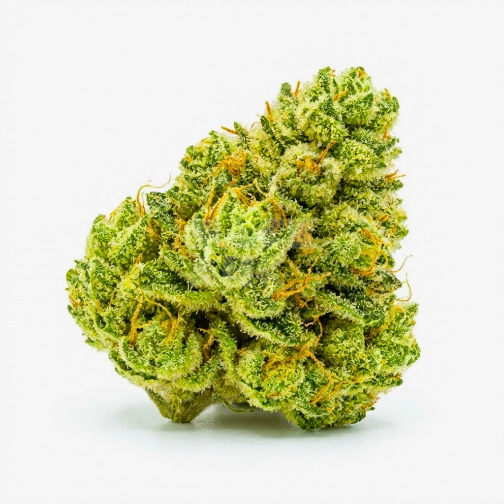 Bud showcase 2