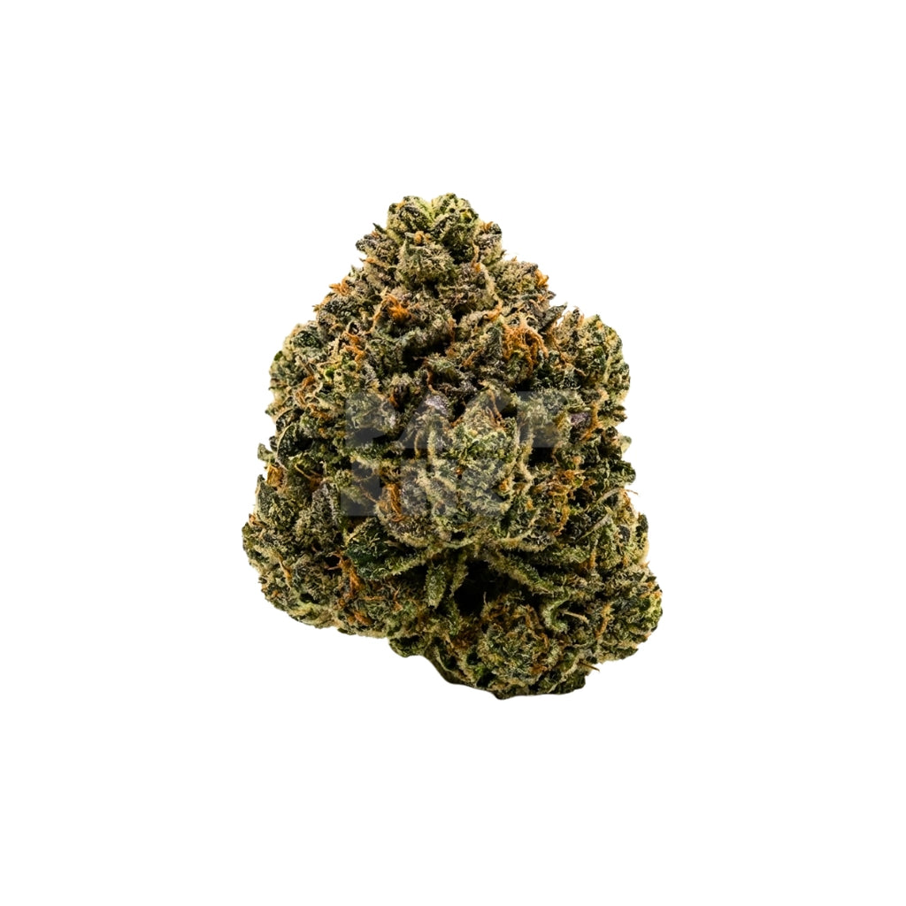 Bud showcase 3