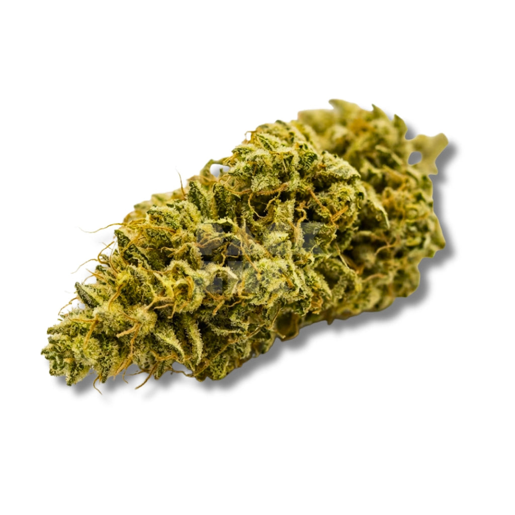 Bud showcase 2