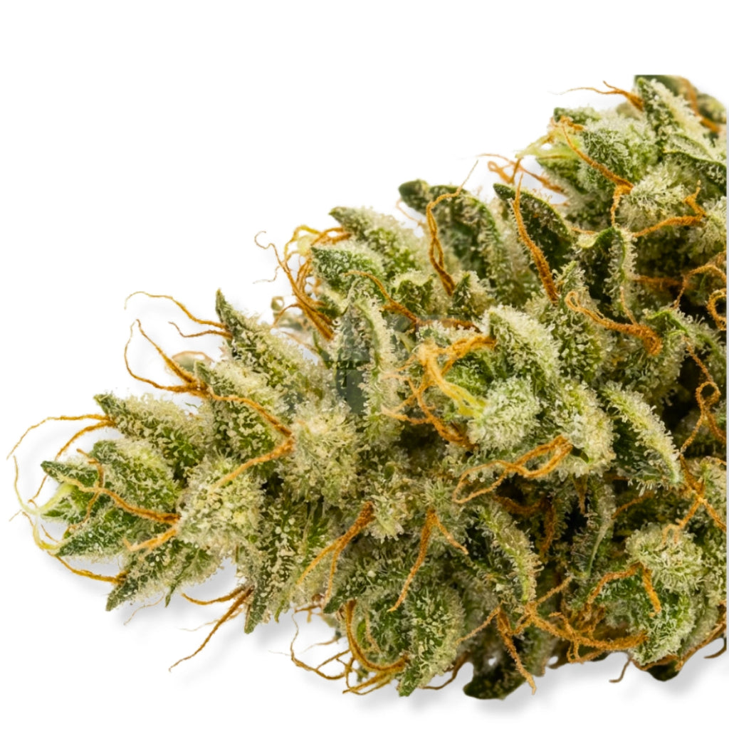American Haze / California Haze