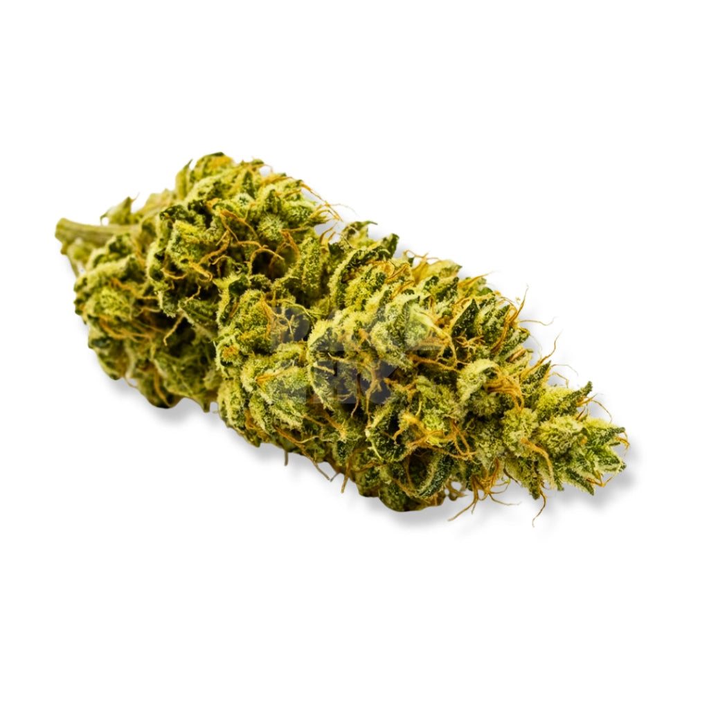 Bud showcase 3