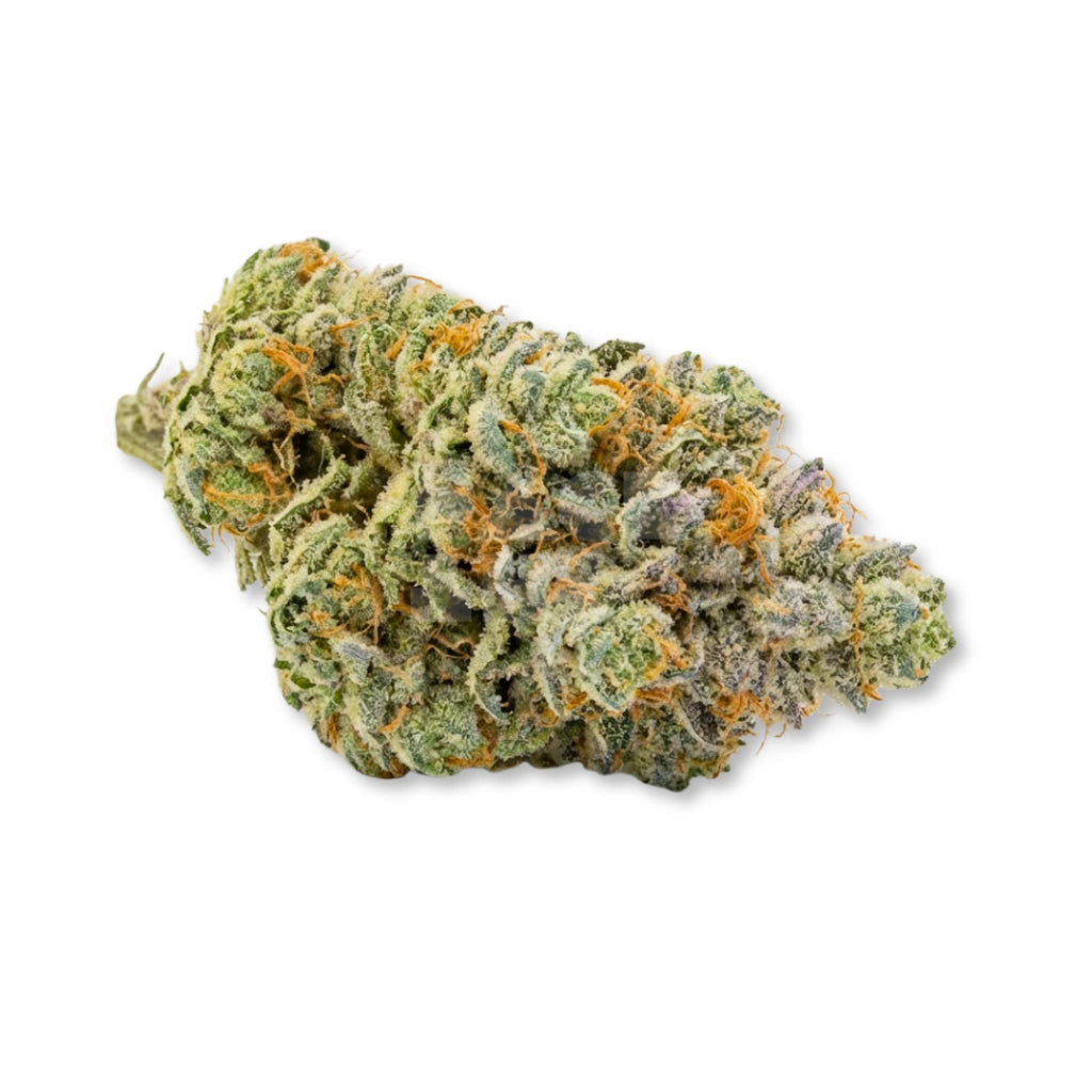 Bud showcase 3