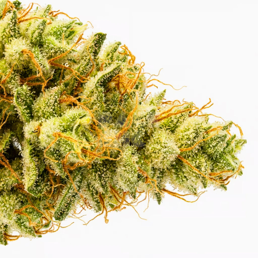 Amnesia Haze