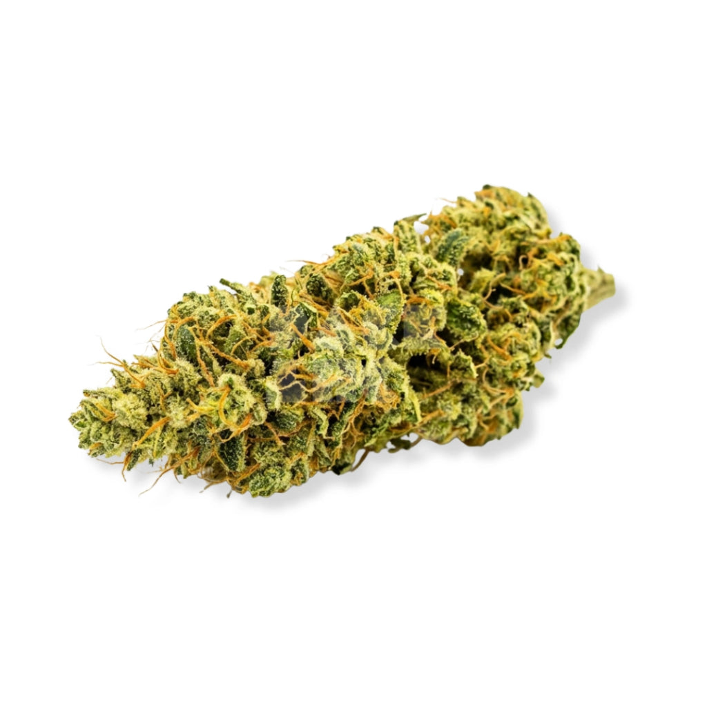 Bud showcase 4
