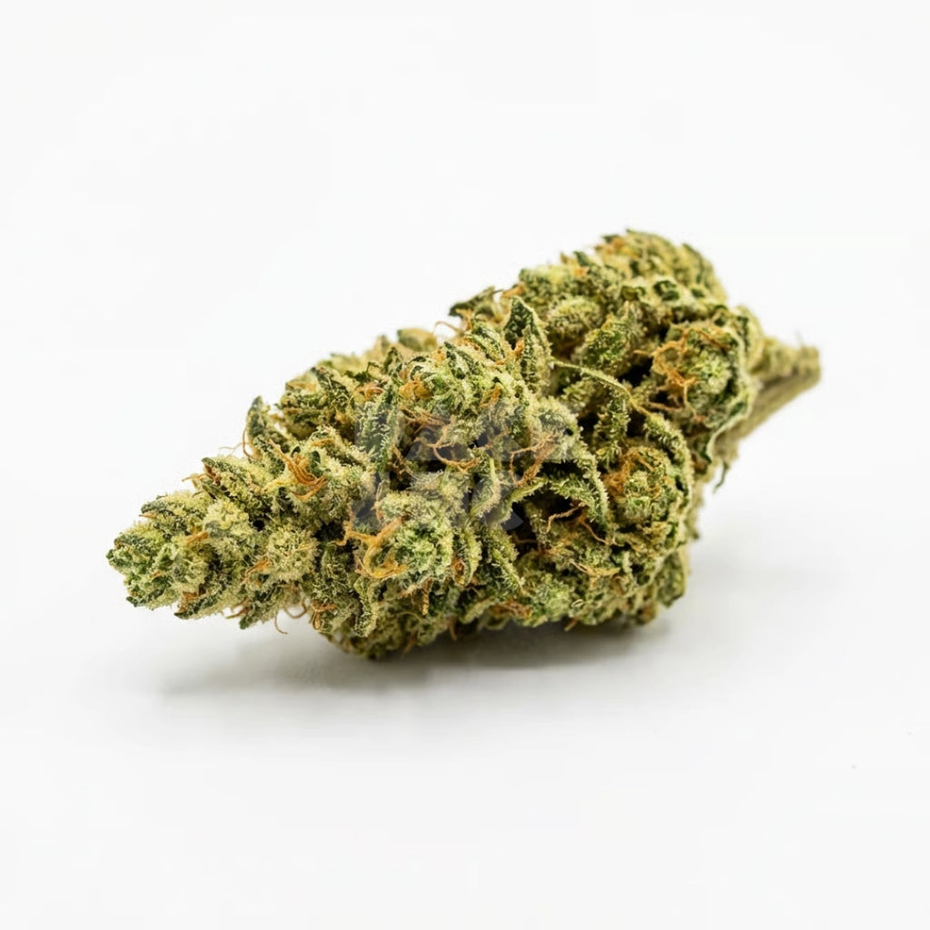 Bud showcase 3