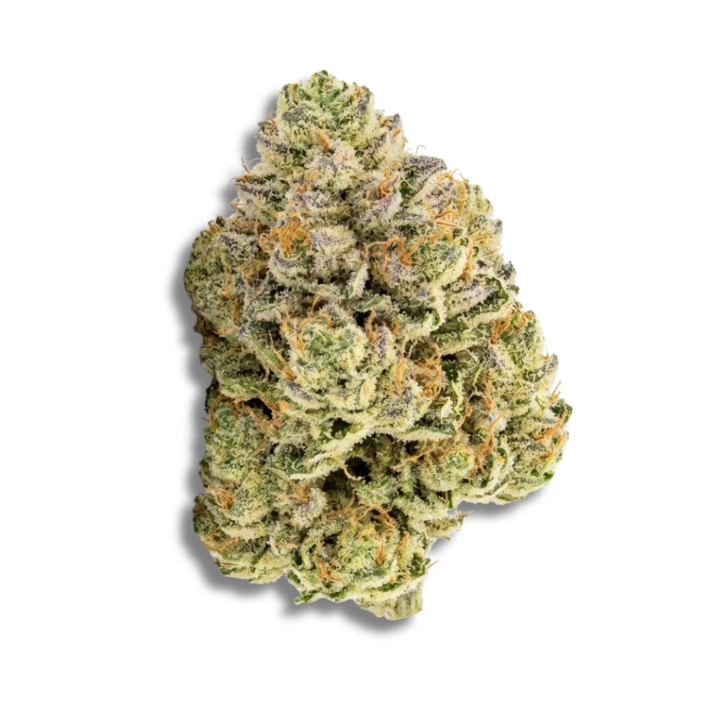 Bud showcase 4