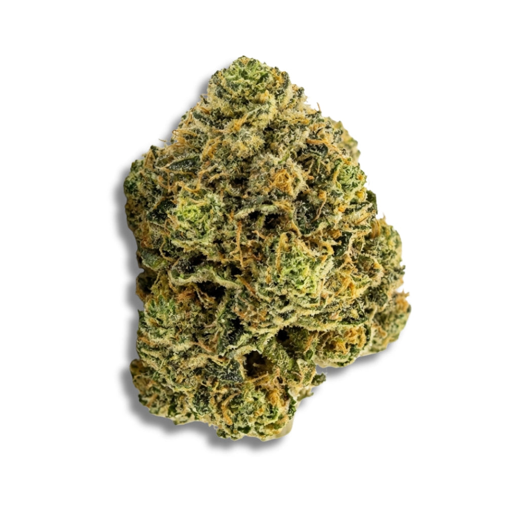 Bud showcase 3