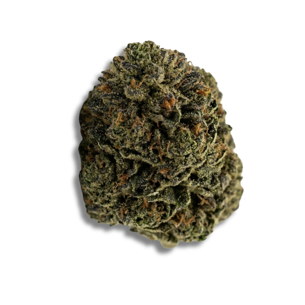 Bud showcase 4