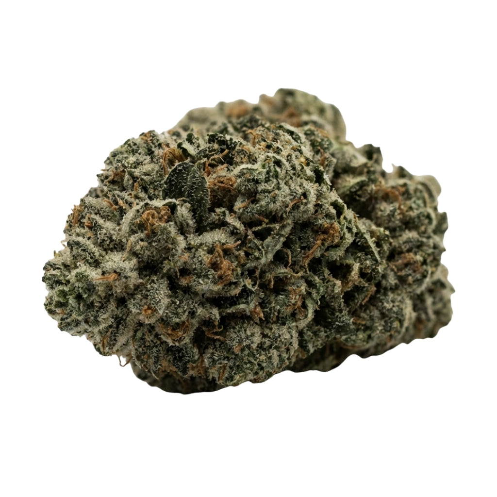 Bud showcase 3