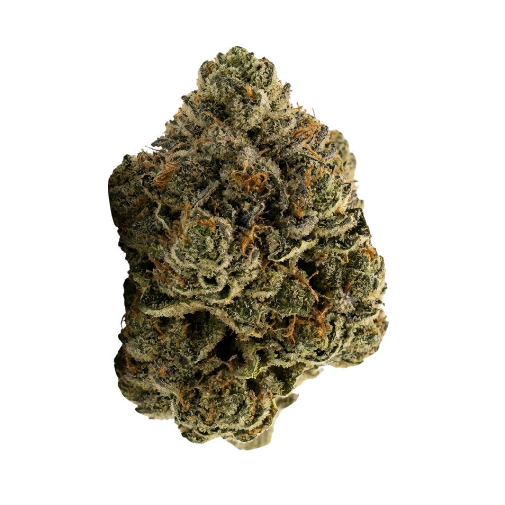 Bud showcase 3