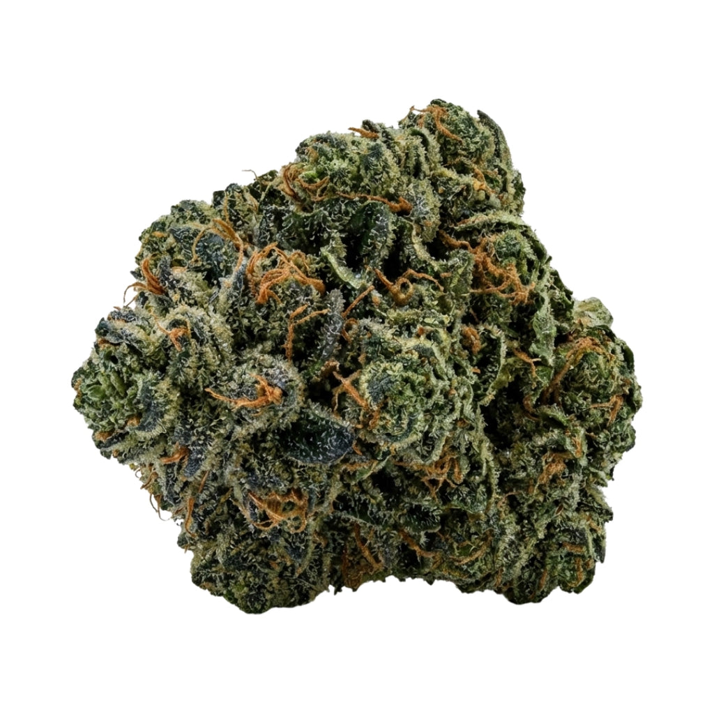 Bud showcase 4