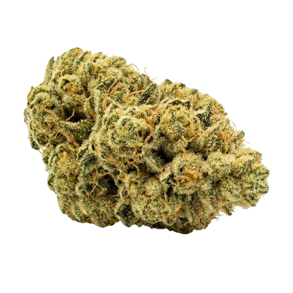 Bud showcase 3