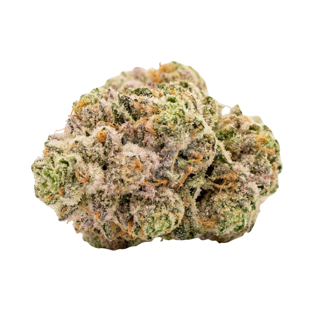 Bud showcase 2