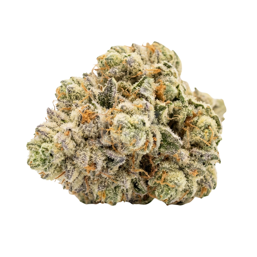 Bud showcase 3