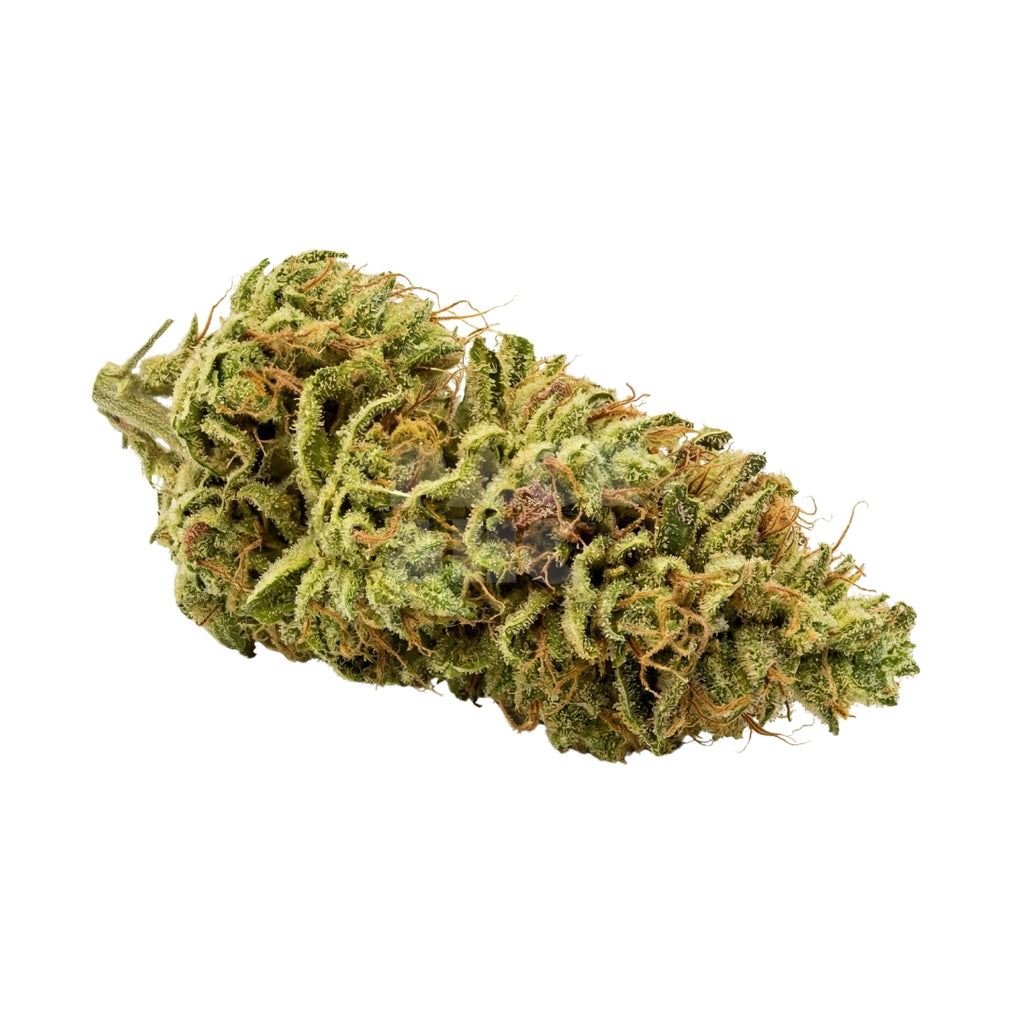 Bud showcase 3