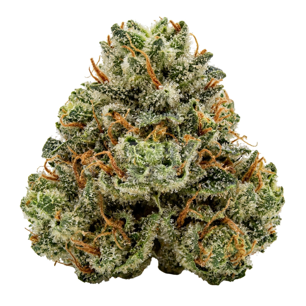 Bud showcase 2