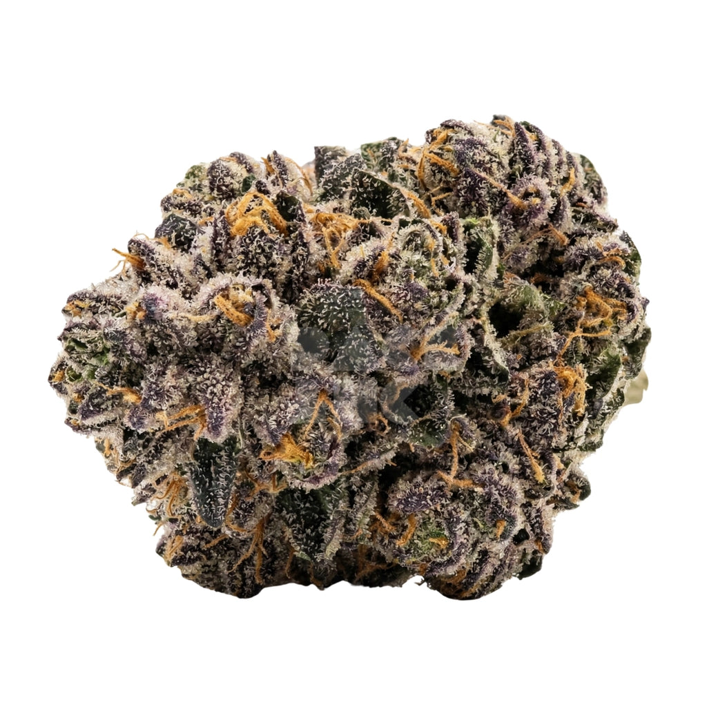 Bud showcase 3