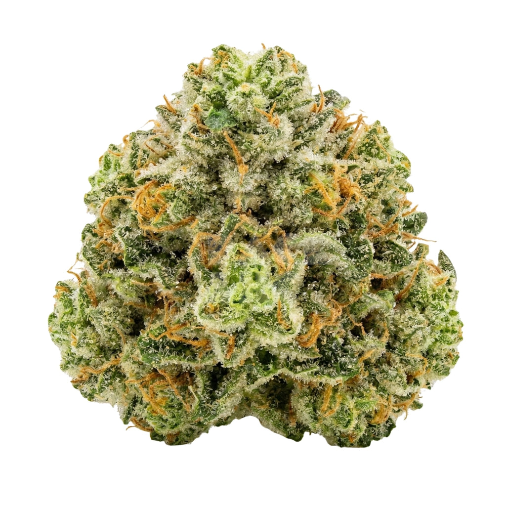 Bud showcase 1