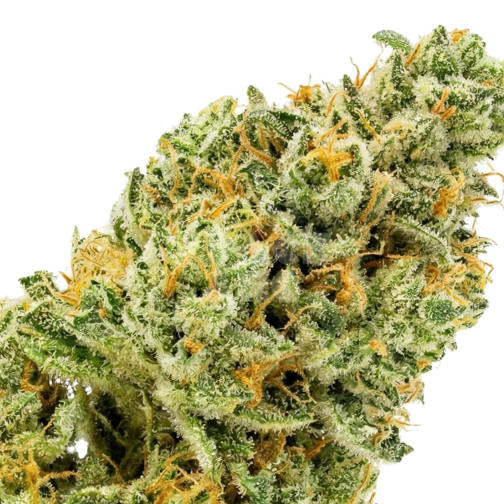 Diesel Tonic of CBD (fem)