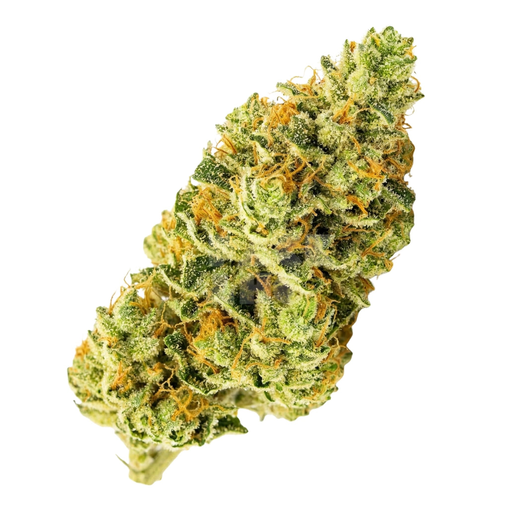 Bud showcase 3