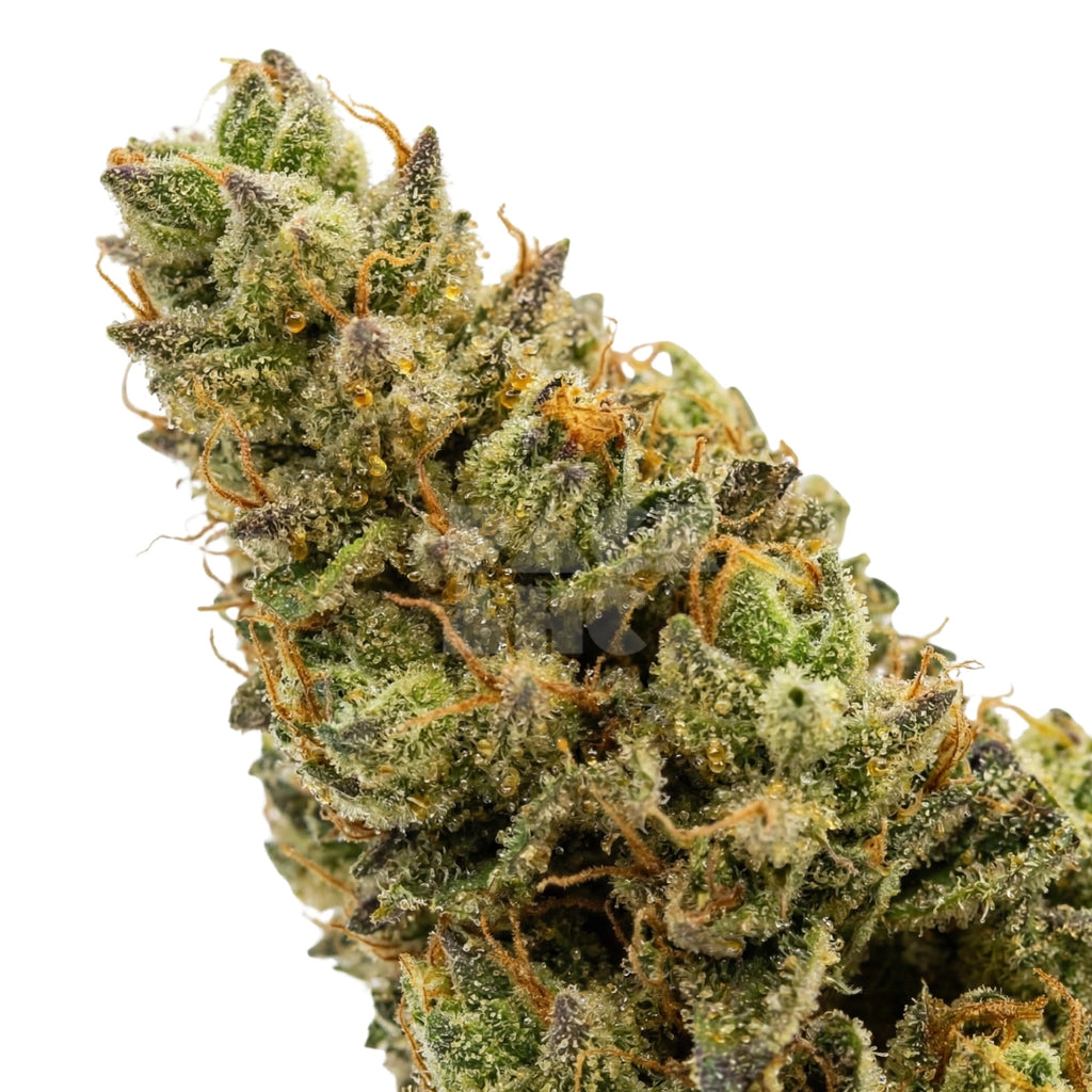 Diesel (fem)