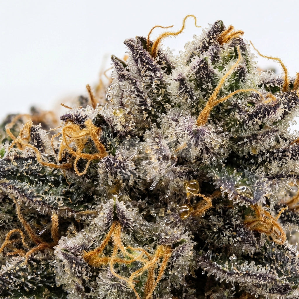 Do-Si-Dos Cookies (fem)