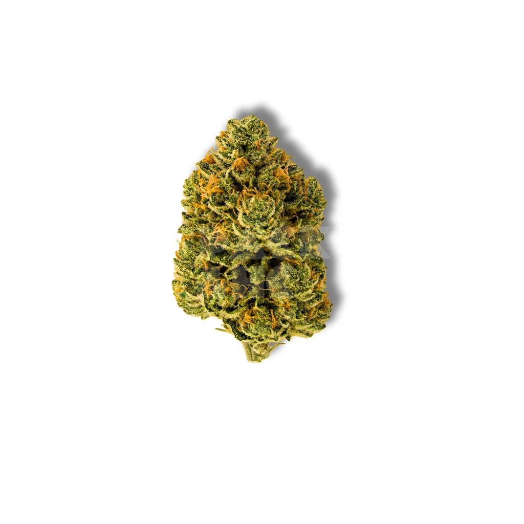 Bud showcase 3