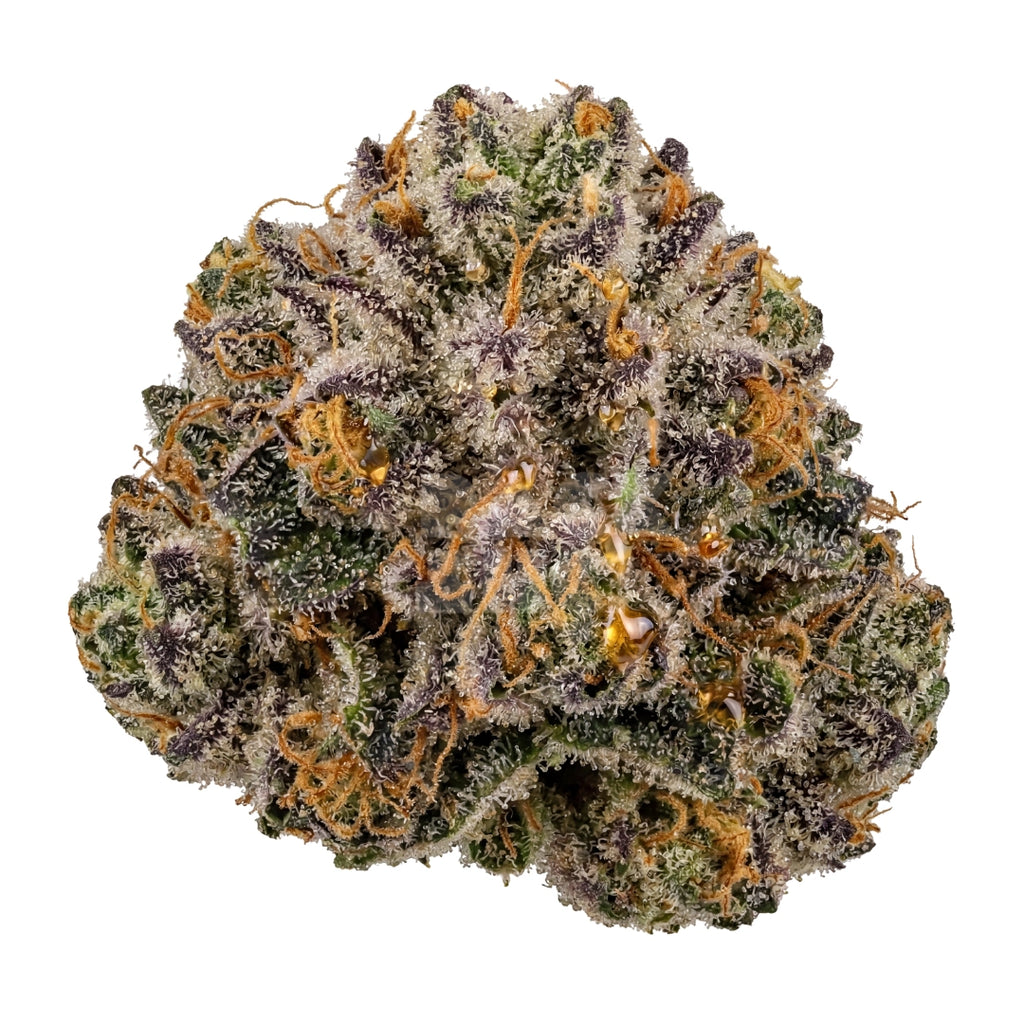 Bud showcase 2