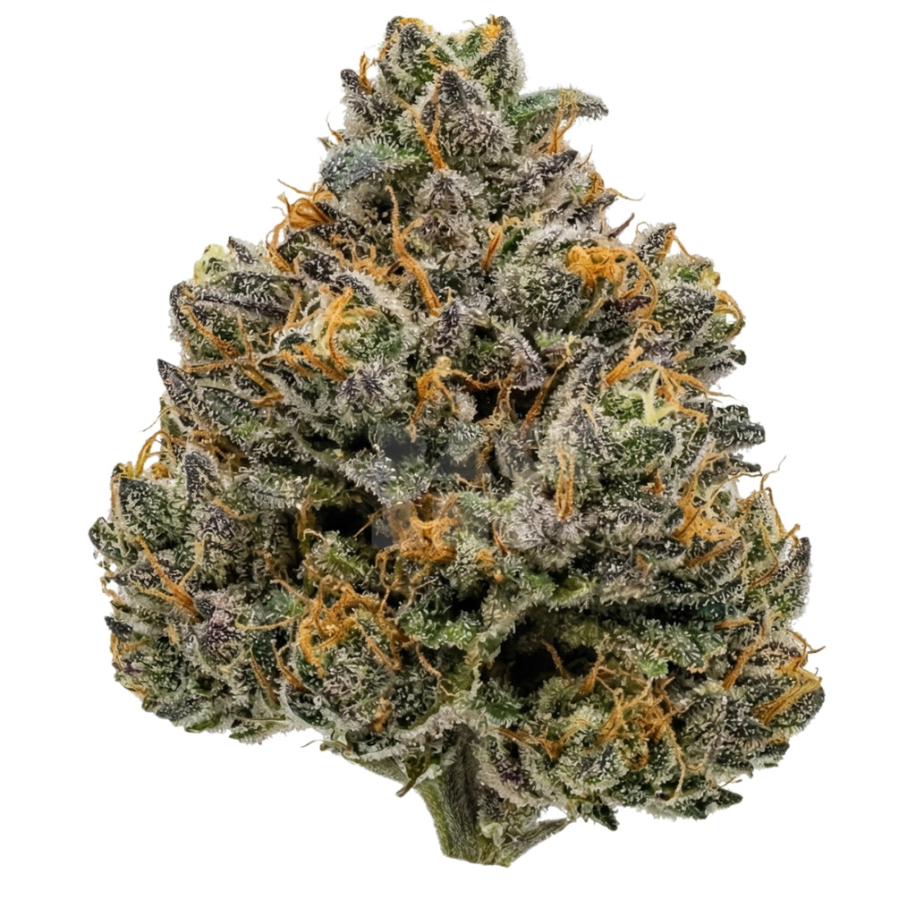 Early Skunk (fem)