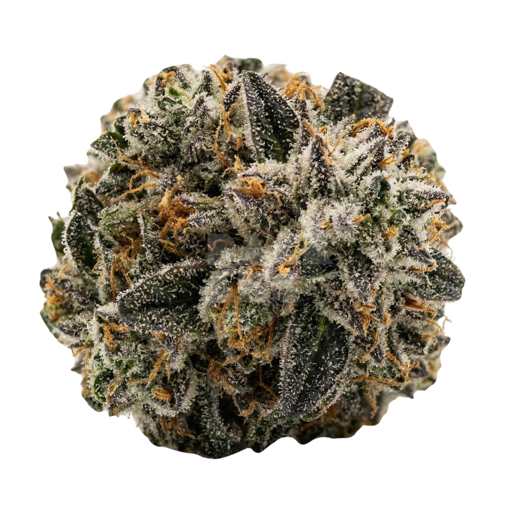 Bud showcase 1