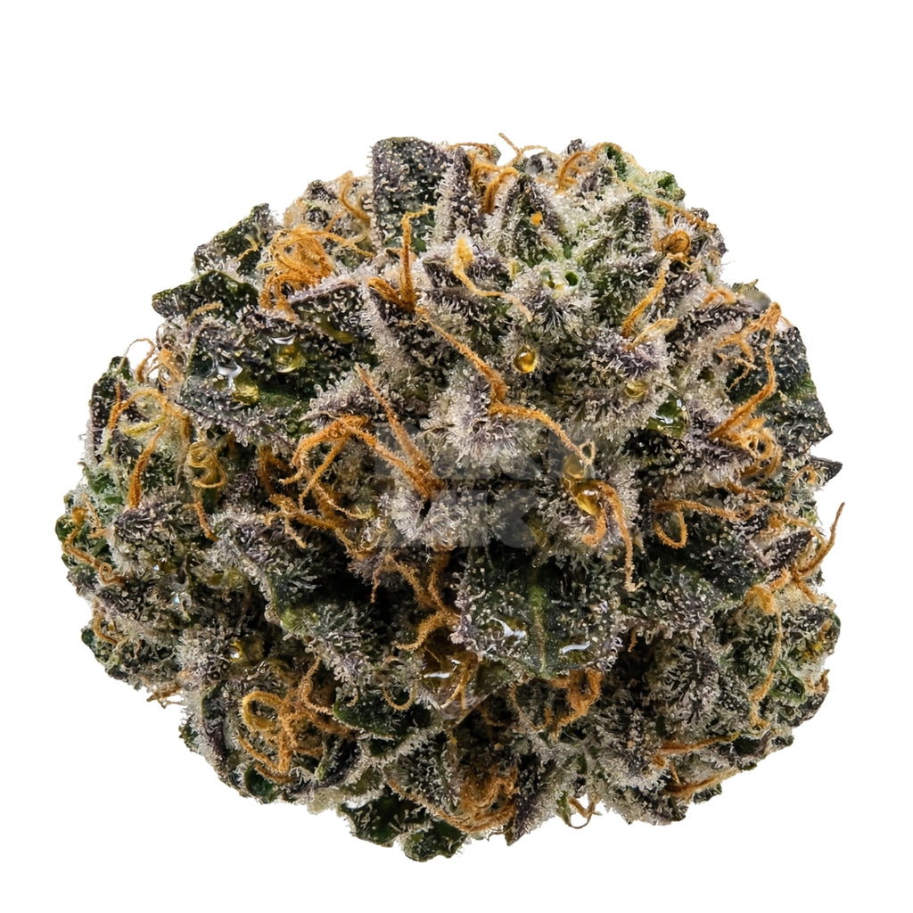 Bud showcase 3
