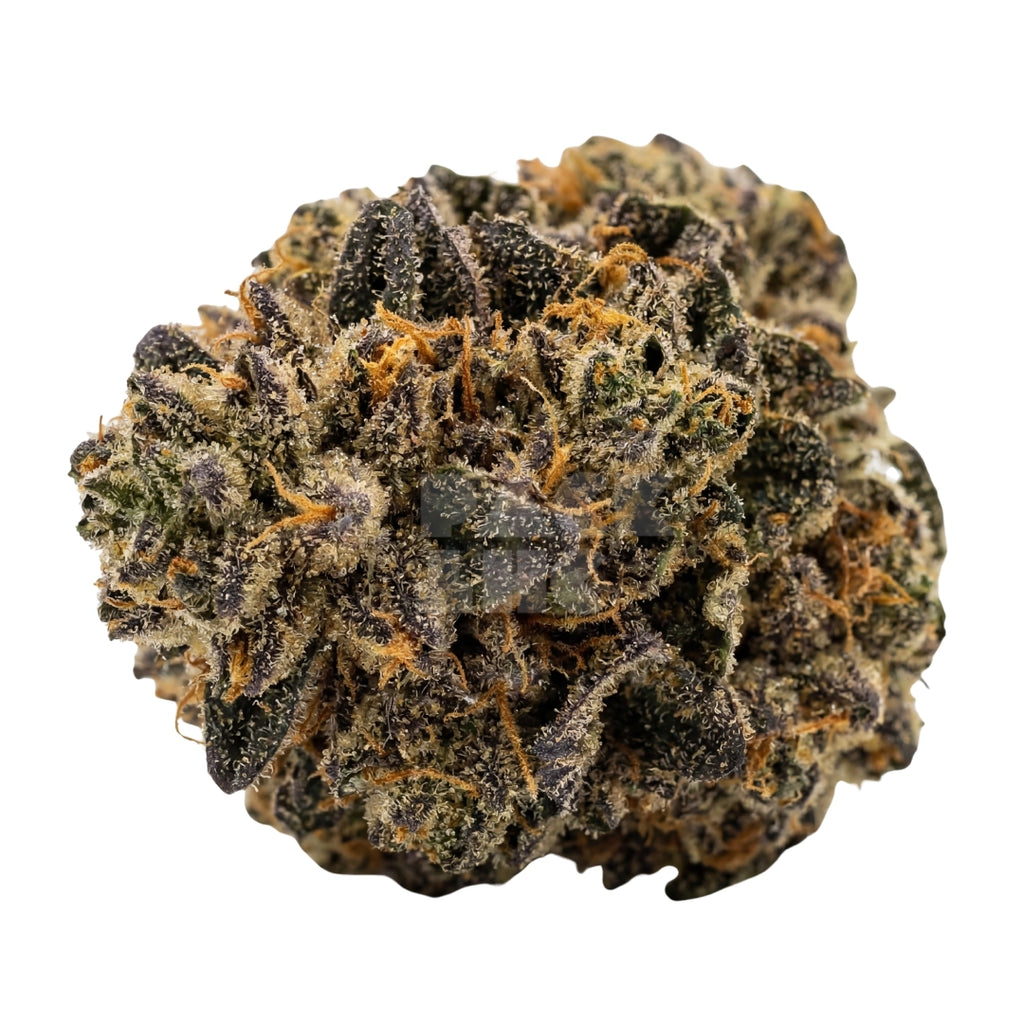 Bud showcase 3