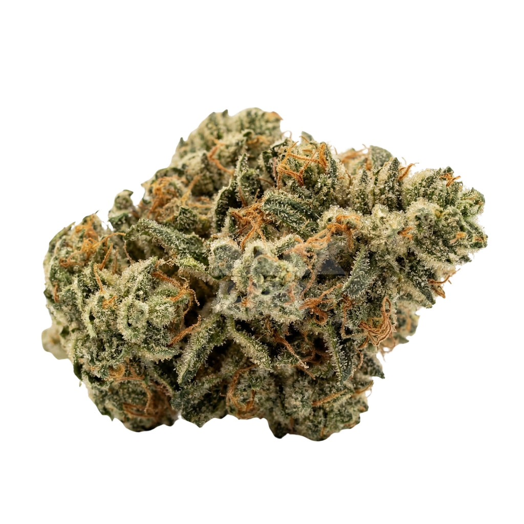 Bud showcase 4