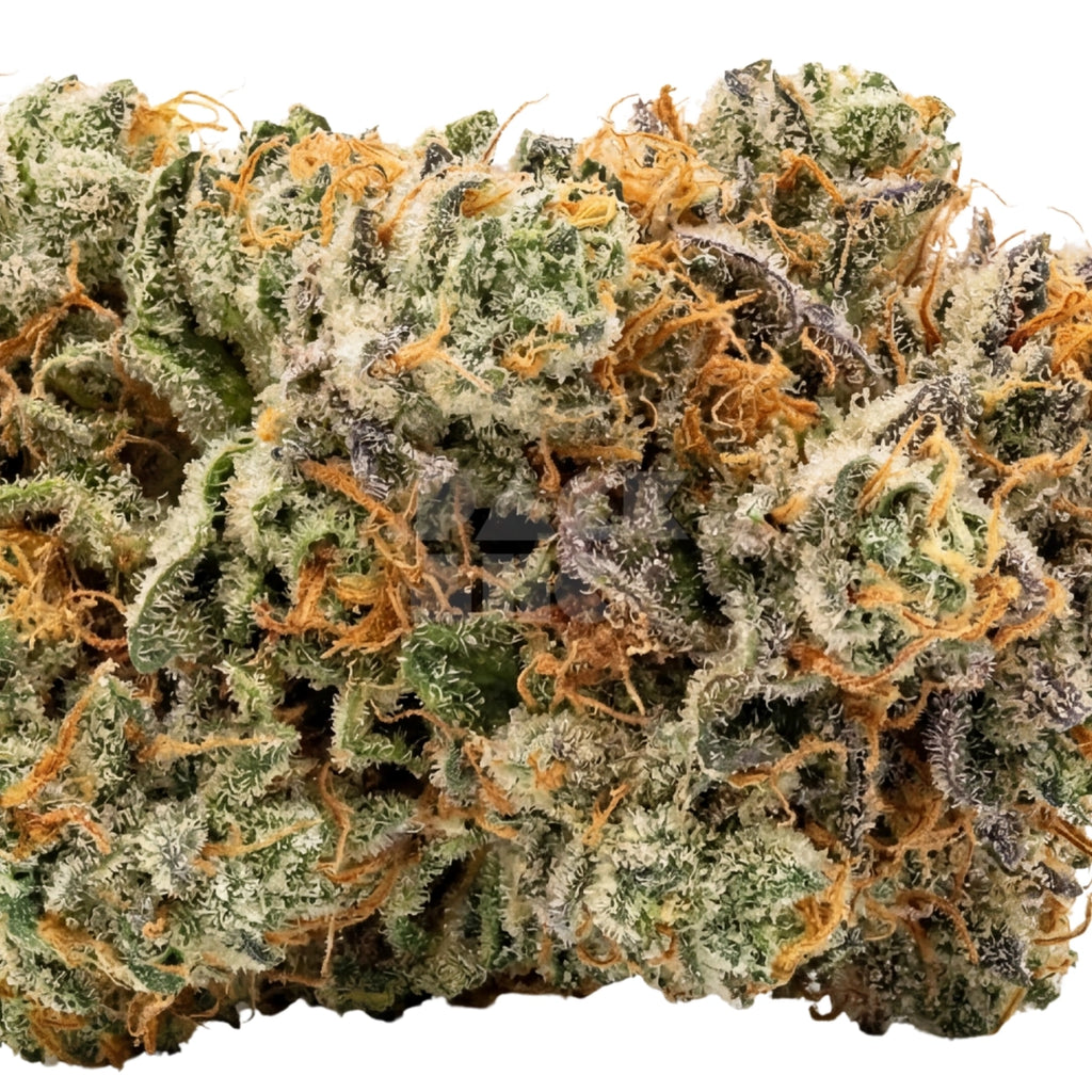 Exodus Cheese x Blue Head Band (fem)
