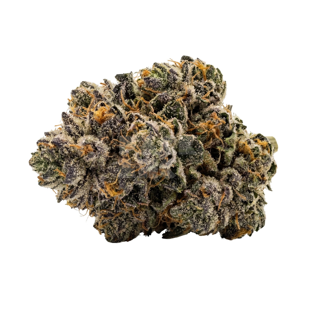 Bud showcase 3