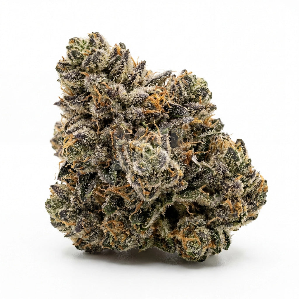 Bud showcase 4