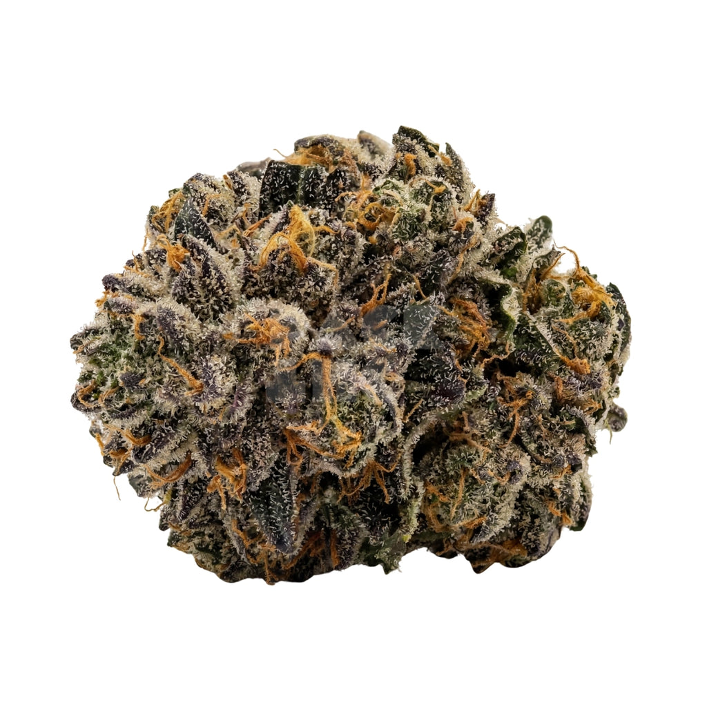 Bud showcase 1