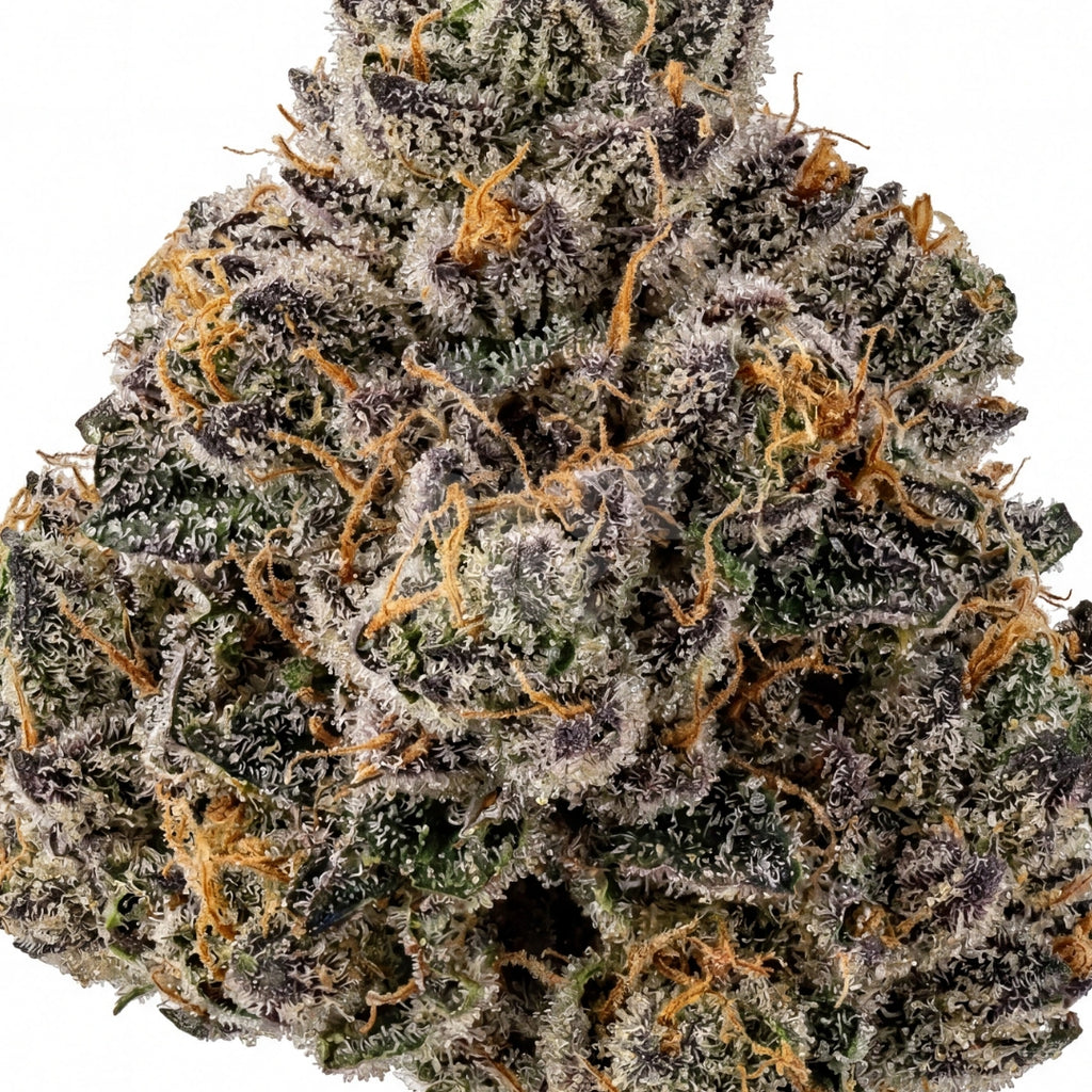Frosted Guava