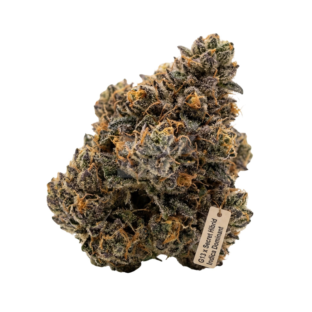 Bud showcase 4