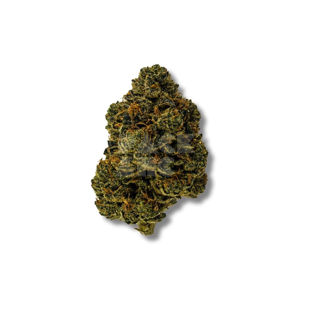 Bud showcase 3