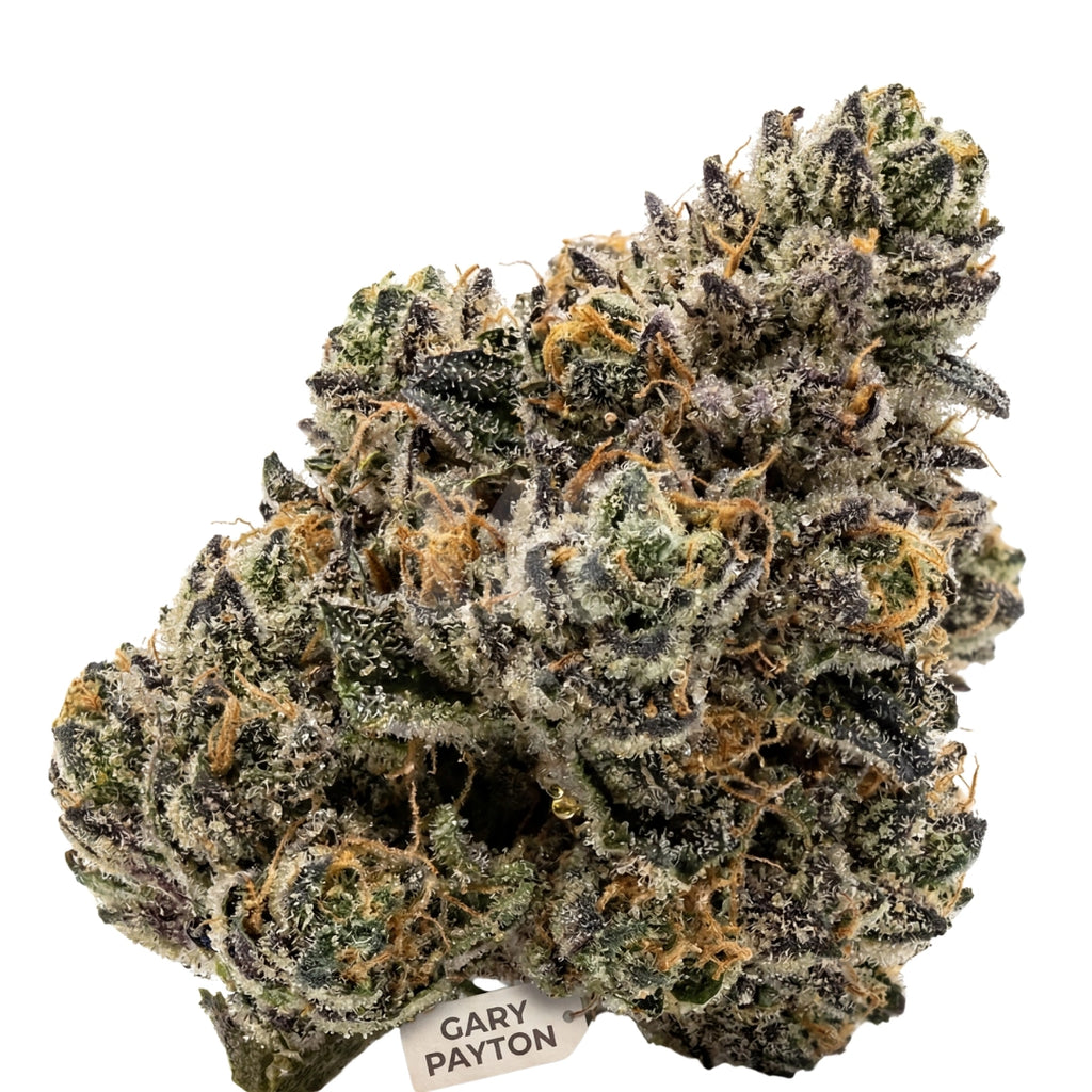 Bud showcase 3